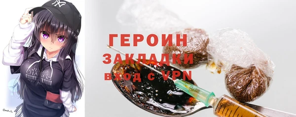 индика Приозерск