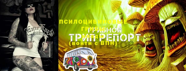 индика Приозерск