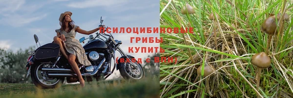 jwh Дмитриев