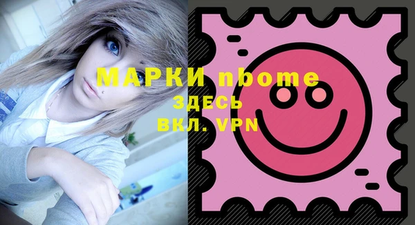 индика Приозерск