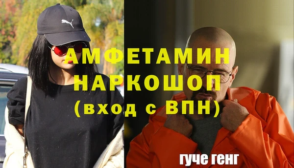 индика Приозерск