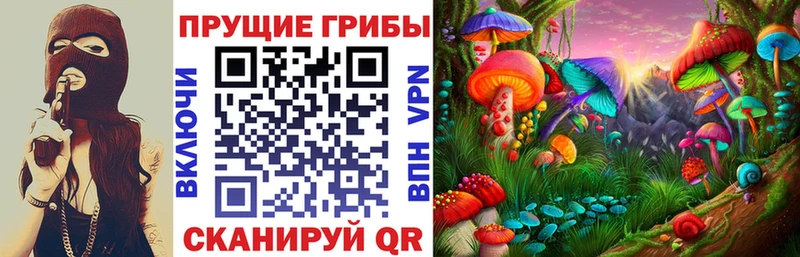 Псилоцибиновые грибы GOLDEN TEACHER  как найти закладки  МЕГА tor  сайты даркнета как зайти  Шарыпово 